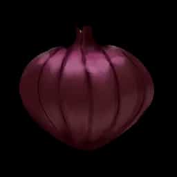 onion